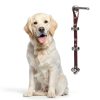 BORONG Dog Training Bell Leather Adjustable Pet Doorbell-3