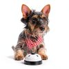 XC Dog Training Bell Metal Rustproof Pet Toilet Training-3