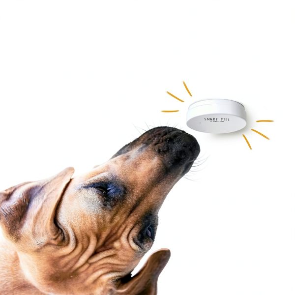 Mighty Paw Smart Bell Dog Doorbell Potty Training Tool-5